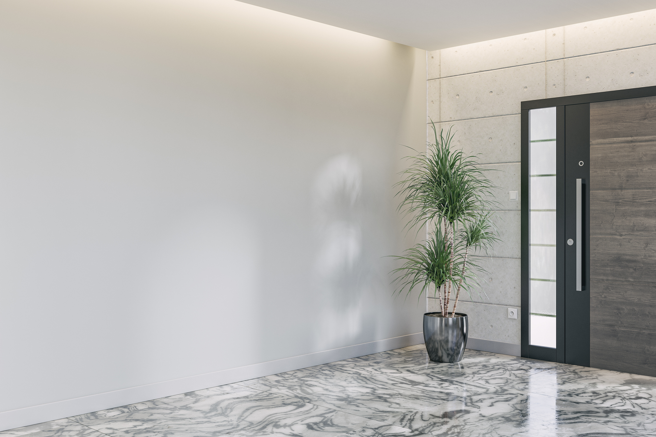 an entrance hall with a modern entrance door, a potted plant, and a white plaster wall background